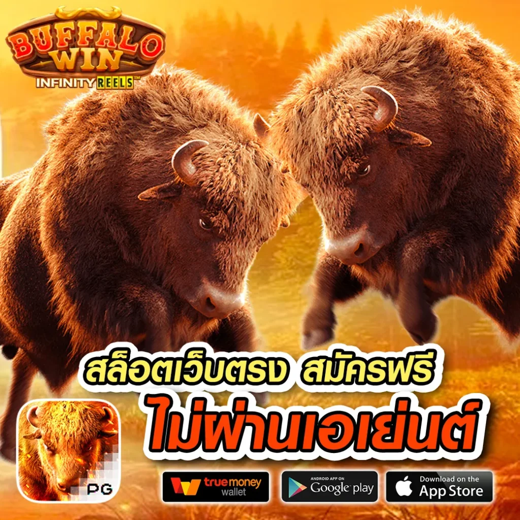 ยินดีล็อตโต้ lotto